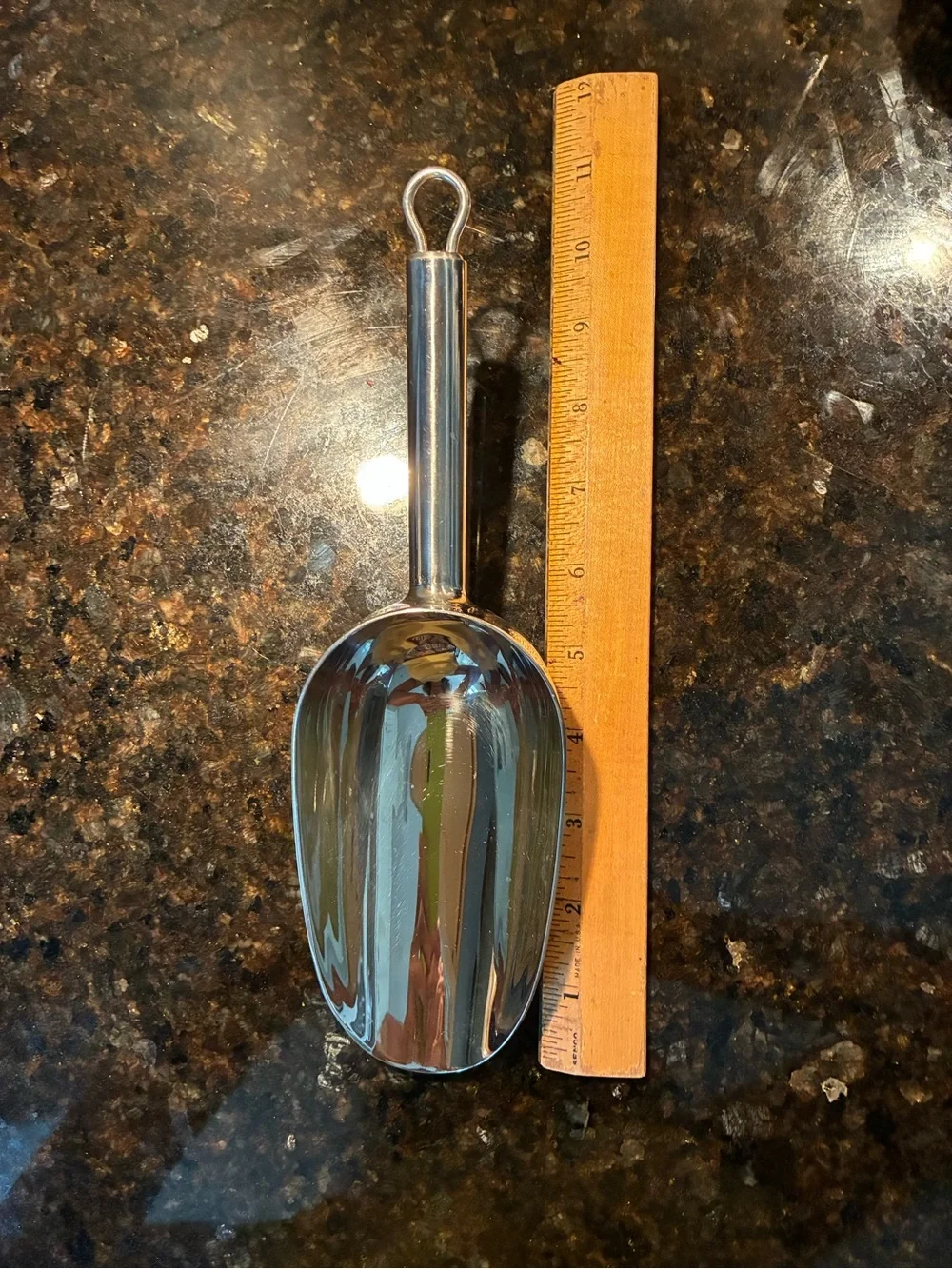 Source Unknown Silvertone Metal Scoop